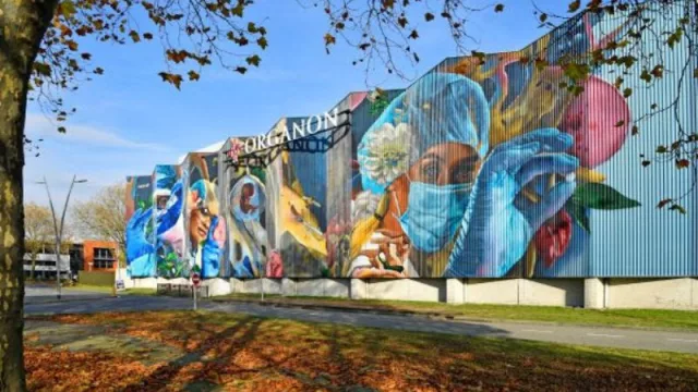 Organon, la multinacional dedicada a la salud femenina, desembarca en Argentina (liderada por un varón)