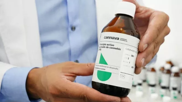 Cannabis medicinal: capacitación online organizada por el Gobierno de Jujuy y la Universidad de Jerusalém (tiempo para sumarte hasta el 19 de julio)
