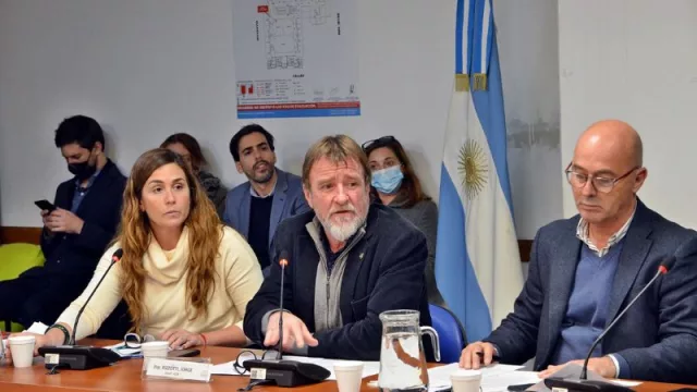 En camino a una nueva normativa en materia de transporte con perspectiva federal: dictamen en diputados para aumentar el fondo de compensación del transporte