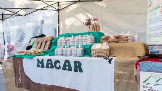 Cumbre mundial de economía circular y ahora también… ¡Feria mundial de economía circular! (participan 40 stands de empresas, cooperativas y pymes verdes)