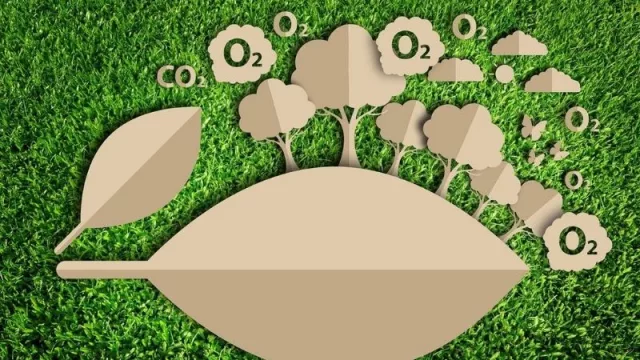 ¿Por qué bajar los niveles de dióxido de carbono atraería más inversiones? (ventajas de tener “bonos verdes”)