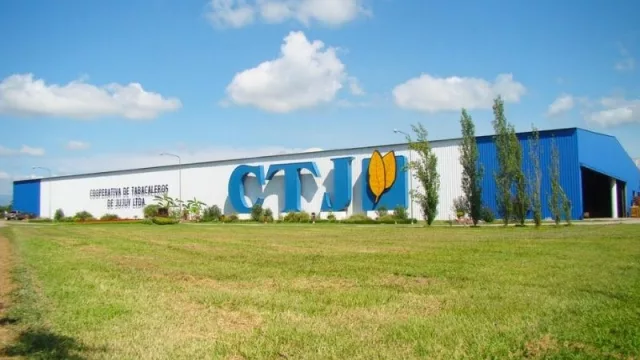 ¿Sabías que Perico destina 19.600 hectáreas al tabaco y produce hasta 49.000 toneladas?