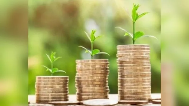 Jujuy inicia análisis de factibilidad de ingreso al mercado de bonos de carbono