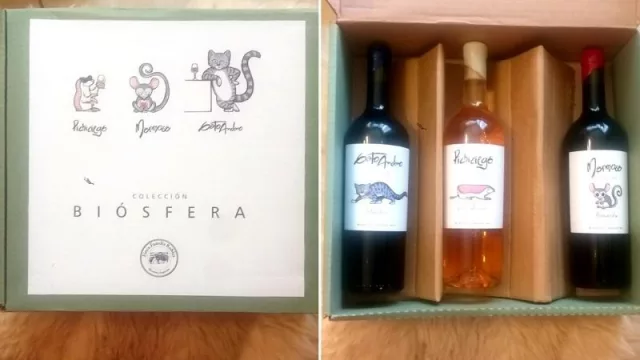 Vinos con conciencia ecológica: Biósfera de Familia Los Robles