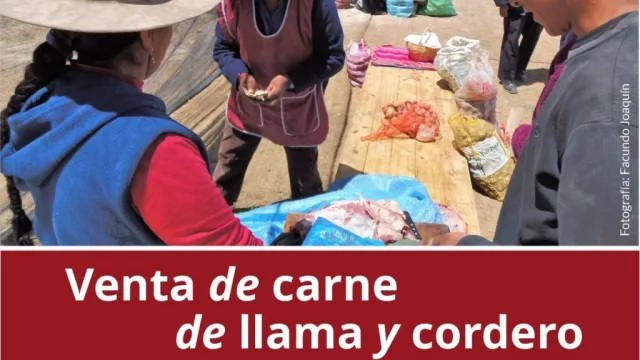 Una investigación sin desperdicios: Carniceras intermediarias, claves, en la trama socio productiva y comercial de la carne de llama, cordero y cabra de la Puna y Quebrada Jujeña