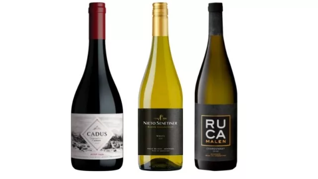 Crece el consumo de vino entre las mujeres