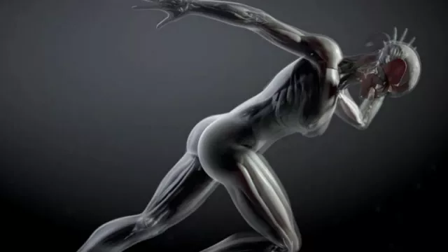 Buscan crear un población de avatares humanos (adultos y niños) para ensayos clínicos 