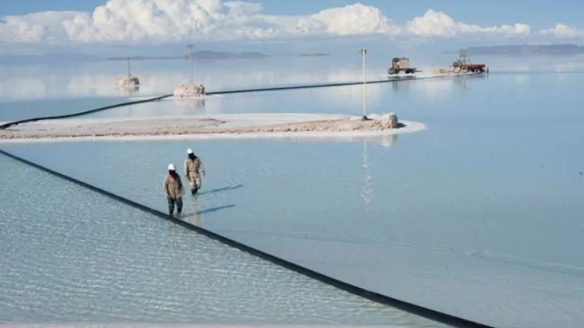 Alta competencia: Bolivia elegirá a principios de 2022 socios privados para la explotación de litio