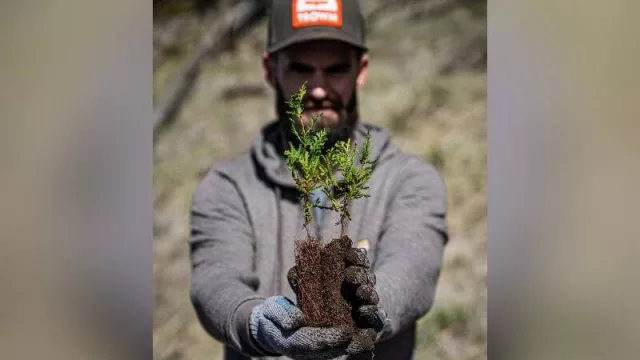 Una gorra por un árbol (Trown ya plantó 5.000 árboles para reforestar zonas incendiadas y 17.000 en total en la Patagonia argentina)