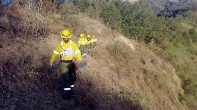 Concurso para Salta y Jujuy: buscan campaña diseñada por estudiantes de los campos de la comunicación y/o las ciencias naturales para la prevención de incendios forestales