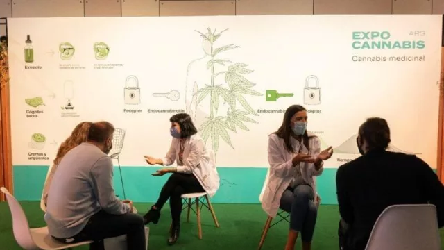 Lo que dejó la segunda edición de la Expo Cannabis (Cannava comienza la distribución de su aceite)
