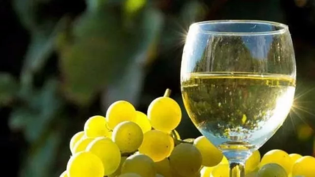 Para disfrutar de manera virtual y presencial: Semana del Torrontés de Altura 