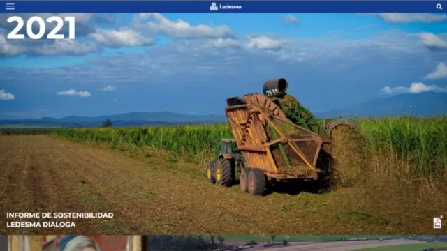 Ledesma: pensar la sostenibilidad como una estrategia en el tiempo