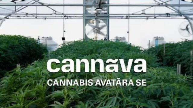 Jujuy, primera otra vez: presentará el primer aceite medicinal de cannabis autorizado fabricado en Argentina (y octubre llega con gran agenda cannábica)