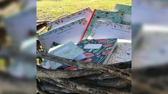 Papelería Patagonia: un emprendimiento con diseños inspirados en la cordillera