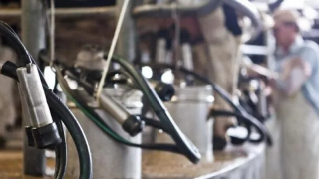 Créditos sin interés de hasta $ 1 M para productores tamberos e industriales lácteos de Tucumán 