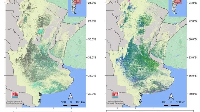 Herramienta para el agro: El INTA presentó el tercer mapa nacional actualizado de cultivos extensivos con seguimiento satelital