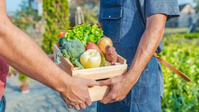 Prevenir incendios desde casa: cómo nuestra lista de la compra influye en el estado del monte