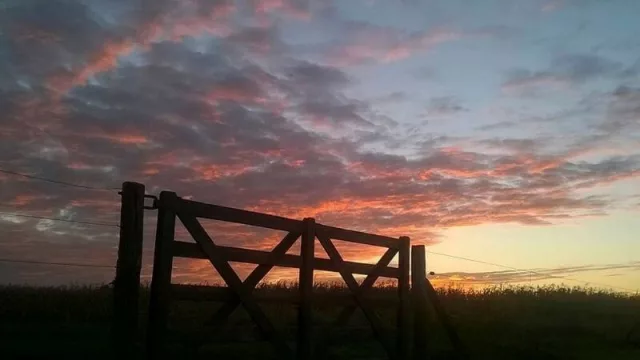 70% de probabilidades que sea Niña (por qué es un “mal pronóstico” para el campo y la Argentina)