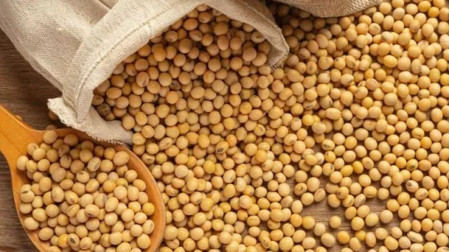 Santa Soja: las exportaciones de ese complejo son US$ 33,6 de cada US$ 100 que entran al país (US$ 12.000 en el primer semestre)