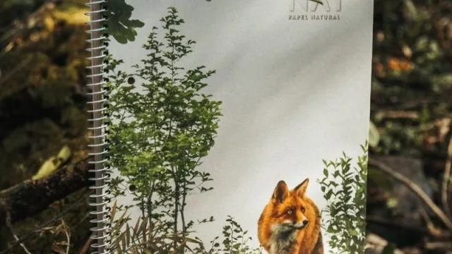 Premios de Sustentabilidad 2021: Ledesma NAT es el producto sustentable destacado del año