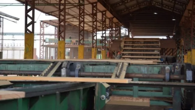  Habilitan créditos de hasta $ 10 millones para pymes foresto industriales correntinas