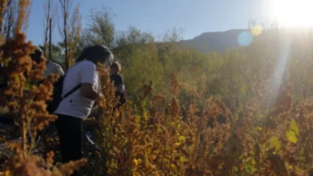 Food trucks y aceites de Severino, El Carmen, alternativas para reemplazar el tabaco: Agraria, la revista de la FCA, lanzó nuevo número