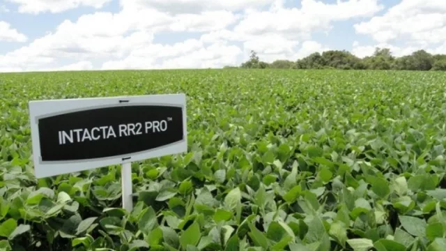 Cambio de era: Bayer saca del mercado argentino la soja Intacta RR2 (y apuesta a la agricultura digital y de precisión)
