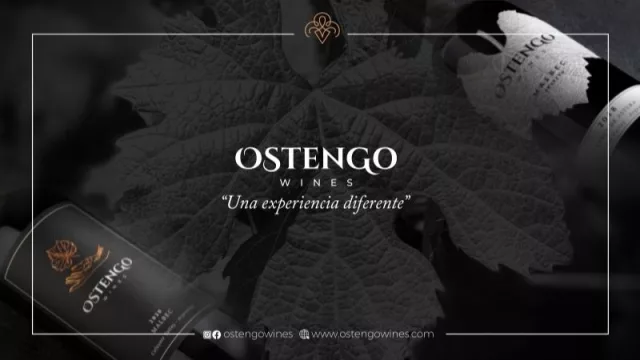 Ostengo Wines, una marca tucumana que te ofrece una experiencia diferente
