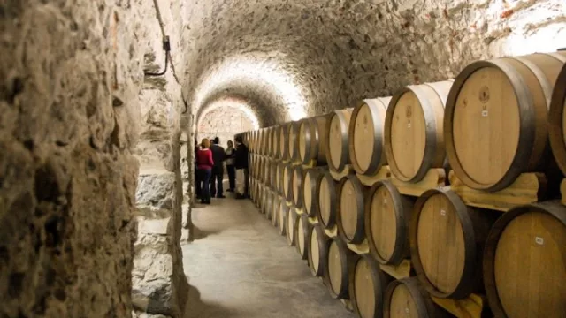 Salta participa del “boom” exportador de vino (reservas con el mercado interno) 