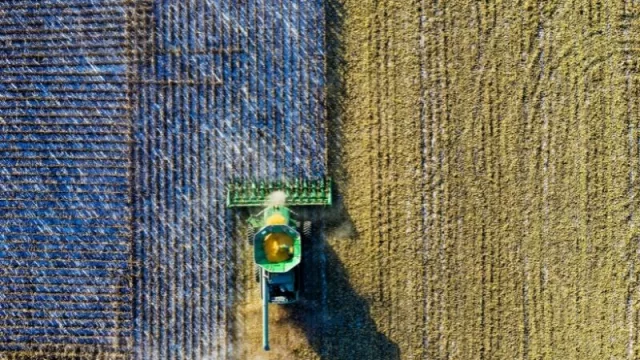 “Creció la actividad económica pero no se puede afirmar que haya sido homogéneo”