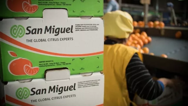 La gran apuesta de San Miguel: presencia física en dos grandes de Europa y Asia