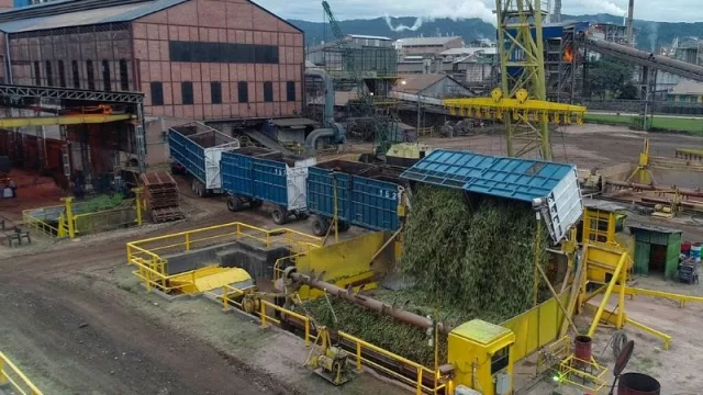 La empresa jujeña Ledesma comenzó una nueva zafra ¡y con nueva tecnología! 