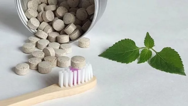 Reduzcamos la basura: pasta dental en pastillas, la propuesta de Somos del Pino (todo suma)