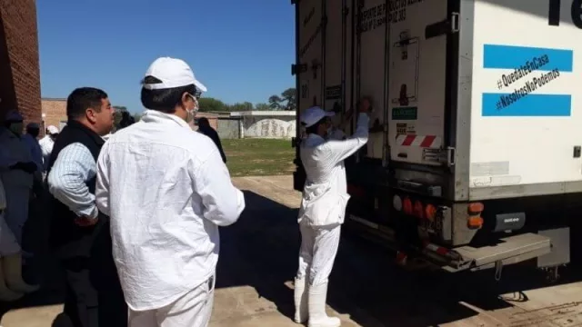Partió el primer embarque del año de carne caprina chaqueña hacia el Congo