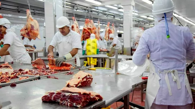 Más controles a las exportaciones de carne: habrá que presentar una declaración jurada