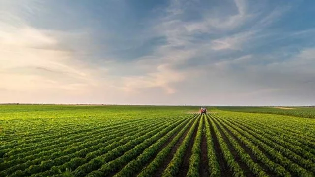 En busca de una ley de bioinsumos agrícolas: un escalón a la agricultura del futuro (Brasil ya entró en la bioeconomía)