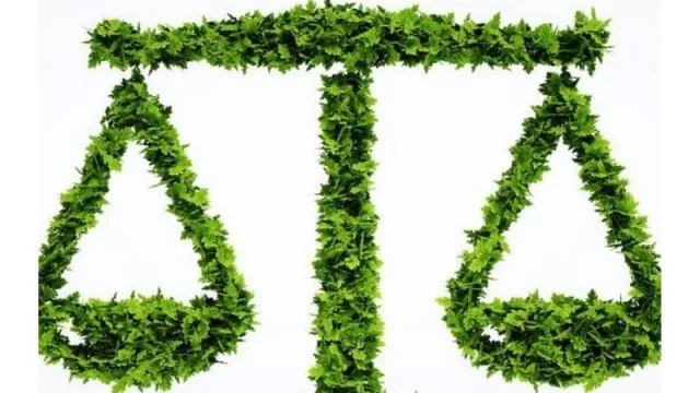 El CEJA y Canadá afinan estrategias en su interés por LATAM: seminario y manual de litigación civil medioambiental