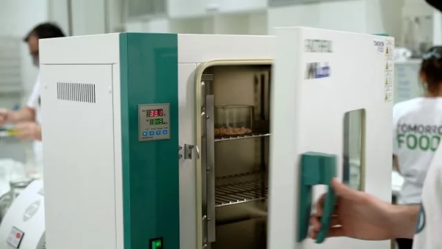 Tomorrow Foods hace punta en proteínas vegetales para la industria de alimentos y bebidas (comeremos cada vez más plantas)