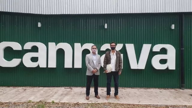 Visit Cannava: todos quieren conocer la producción de cannabis medicinal jujeña