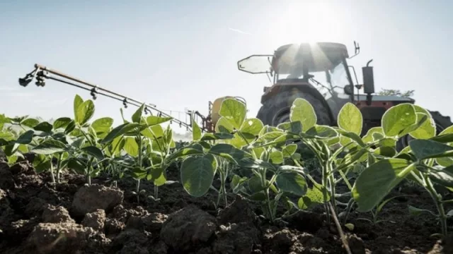 Lanzaron una línea de asistencia financiera por $500 millones (incluye a pymes tucumanas) 