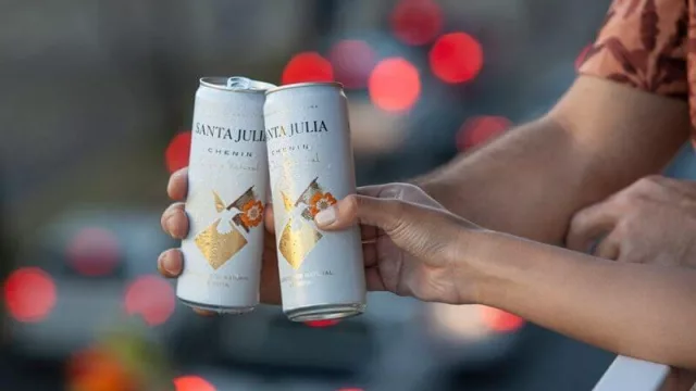 A un año del vino en lata en Argentina ¿cómo le fue en números? (y qué se espera en 2021)