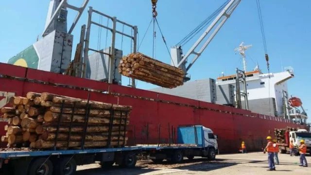 Madereras de Misiones piden a Nación regular la exportación de rollos sin procesamiento