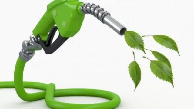 ¡Urgente! Piden que se prorrogue la ley de Biocombustibles 