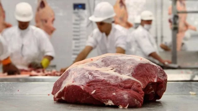 Paraguay a punto de batir récord en exportación de carne