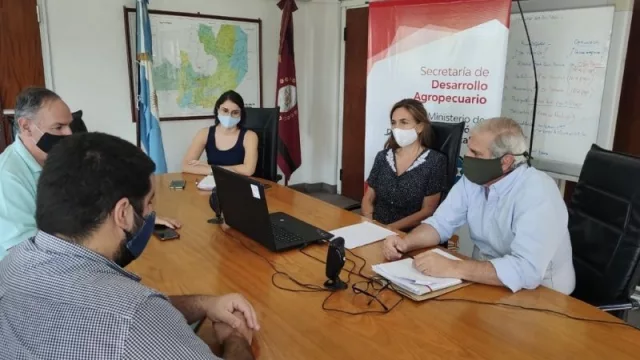 Preocupación por la mortandad y la pérdida de peso de animales por la sequía