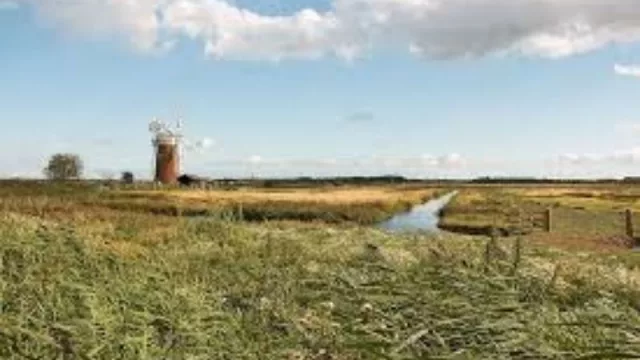 El sector azucarero y de biocombustibles se deslinda de ser protagonista de aumentos de las petroleras