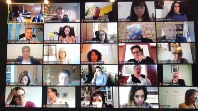 Cannãva participó en una nueva reunión del Consejo Federal de Legisladores de Salud