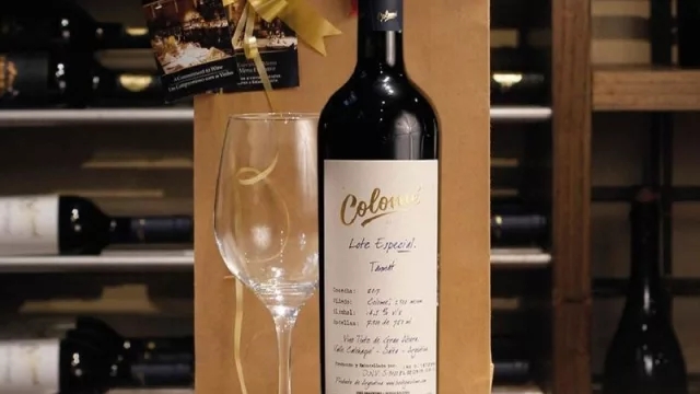 En los “Oscar” de los vinos en Londres, un vino salteño fue el mejor tinto del mundo