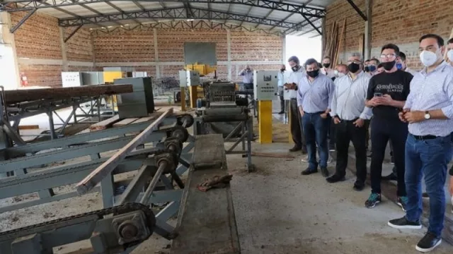 La madera correntina gana terreno en el mercado mundial 